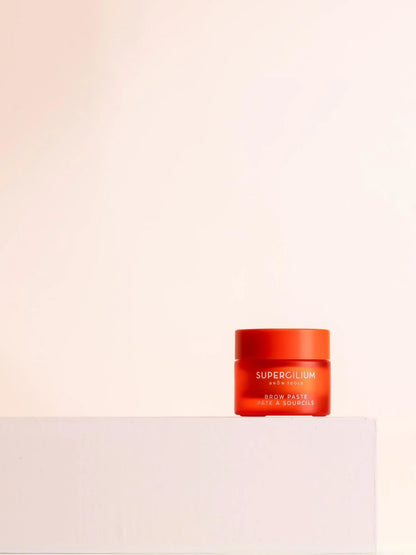 BROW PASTE
